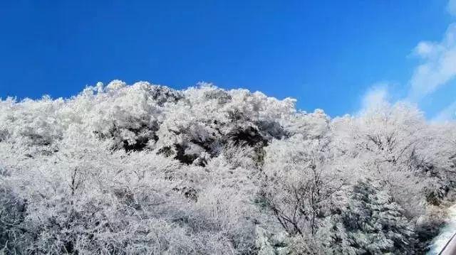 深度学习知识星球-李亚鹏这几年做了什么事情？为什么他会欠下四千万元？，权威讲解AI技术与应用
