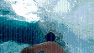 创作猫