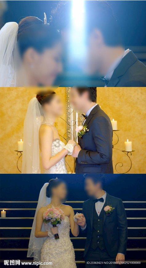 小猫钓鱼正版下载中文版